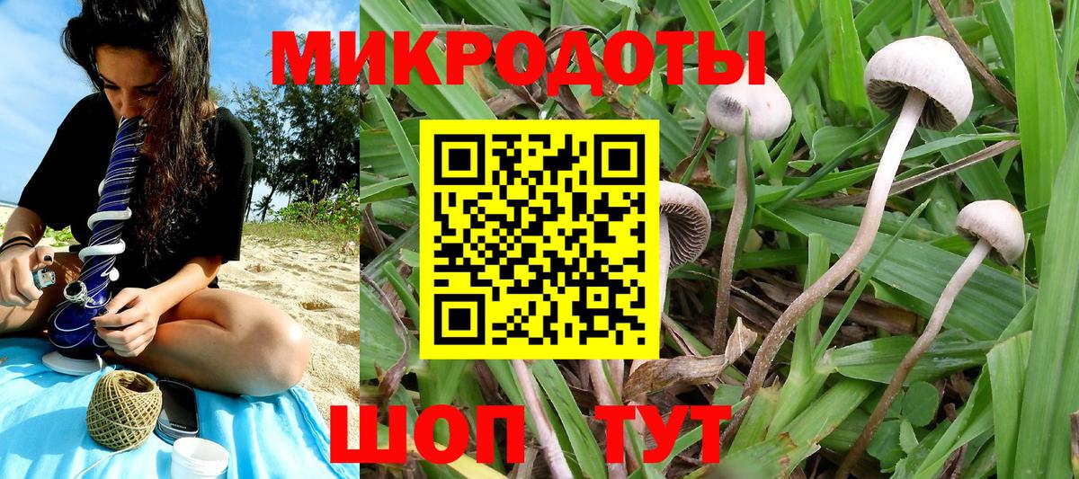 Волоколамск  Галлюциногенные грибы MAGIC MUSHROOMS  Вход с VPN 